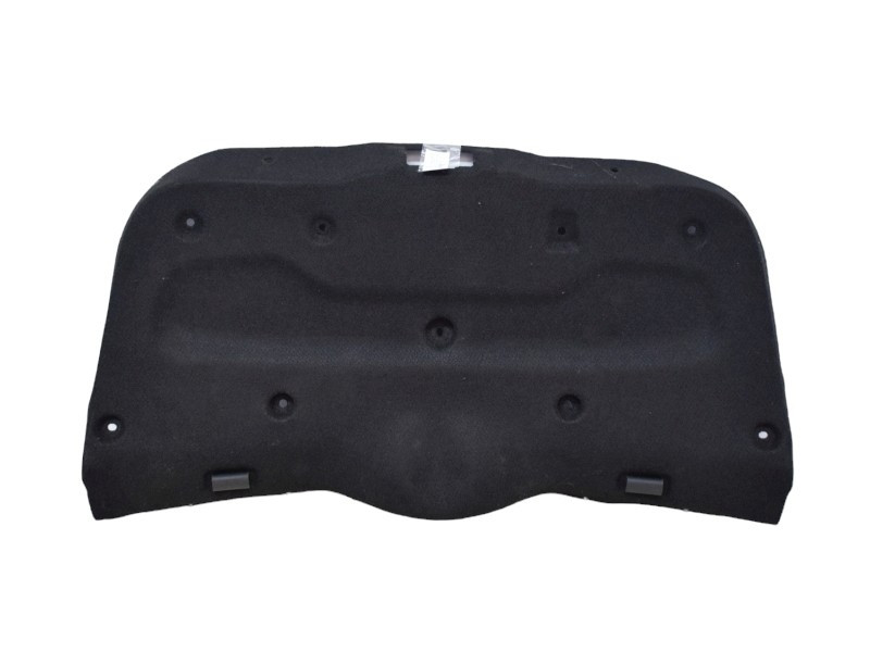 RIVESTIMENTO PLASTICA INTERNO PORTELLONE POST FIAT 500 Serie Elettrica 735727747 (20>)