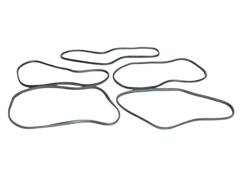 Guarnizioni Perimetrali Renault Zoe  - 31628