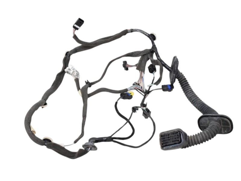 Cablaggio Porta Anteriore Sx Renault Scenic 3 241253969R - 31706