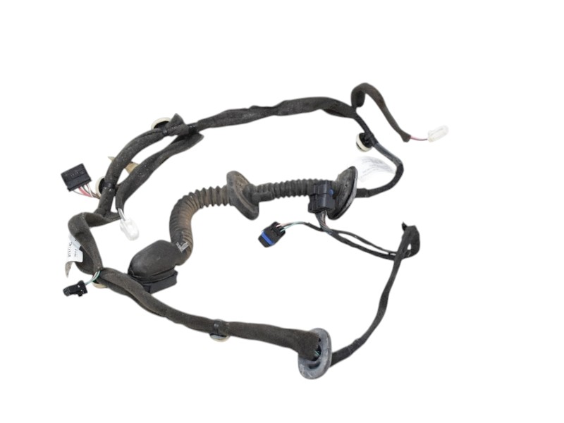 Cablaggio Porta Posteiore Destra Renault Scenic 3 241269581R - 31707