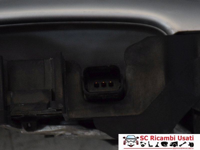 Maniglia Posteriore Destra Renault Scenic 3 806060042R - 31717