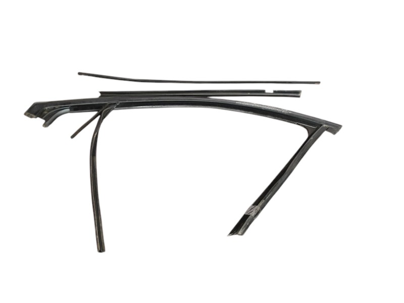 Guarnizione Porta Anteriore Sx Renault Scenic 3 803310013R - 31734