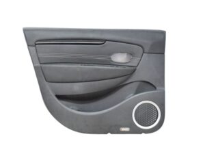 Pannello Porta Anteriore Sinistra Renault Scenic 3 809010533R - 31798