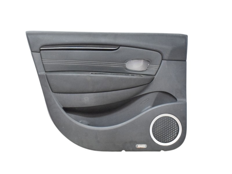 Pannello Porta Anteriore Sinistra Renault Scenic 3 809010533R - 31798