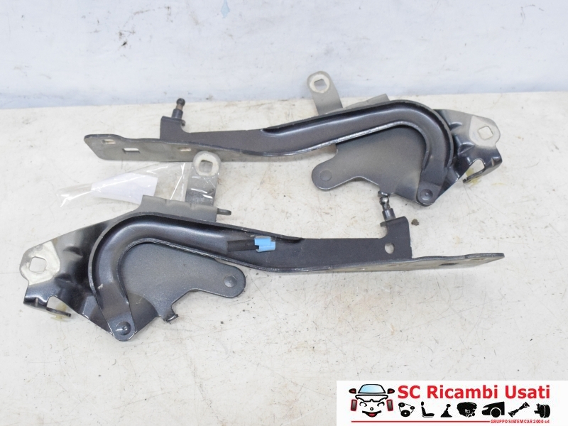 Cerniere Cofano Anteriore Renault Scenic 3 654010004R 654000004R - 31813 Cerniere Cofano Anteriore Renault Scenic 3 654010004R 654000004R - 31813
