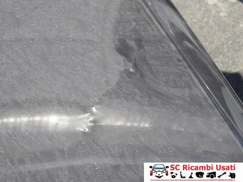 Tetto Renault Clio 4  - 33058