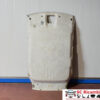 SOTTOTETTO CIELO IMPERIALE RENAULT ZOE Serie 739108903R (13>18)