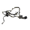 CABLAGGIO PORTA ANTERIORE DESTRA RENAULT Clio Serie IV 241255330R (12>19)
