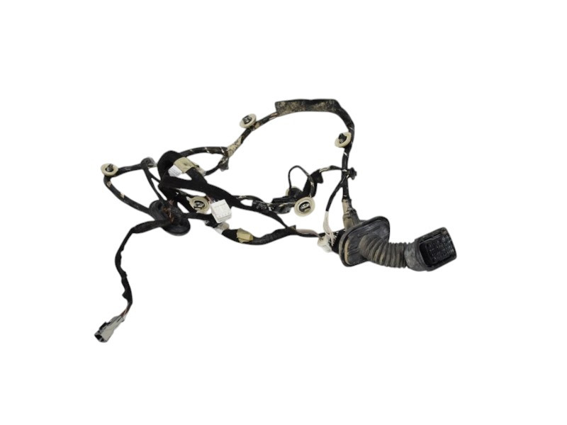 CABLAGGIO PORTA ANTERIORE DESTRA RENAULT Clio Serie IV 241255330R (12>19)