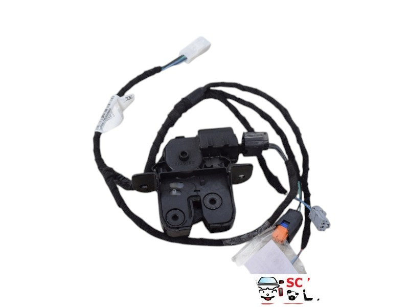 SERRATURA PORTELLONE POSTERIORE RENAULT ZOE Serie 846300003R (13>18)