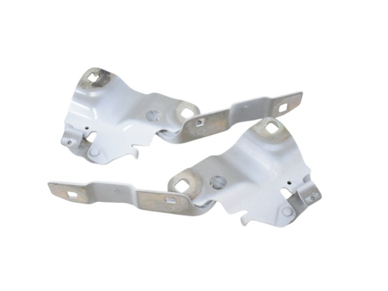 CERNIERE COFANO ANTERIORE DX E SX RENAULT ZOE Serie 654018609R (13>18)
