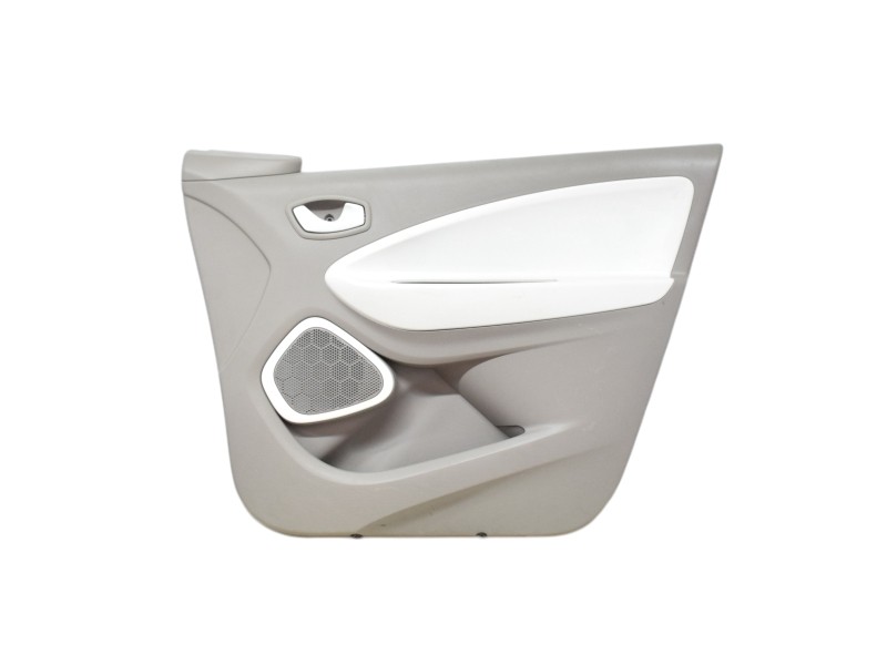 Pannello Porta Anteriore Destra Renault Zoe 809006145R - 31645