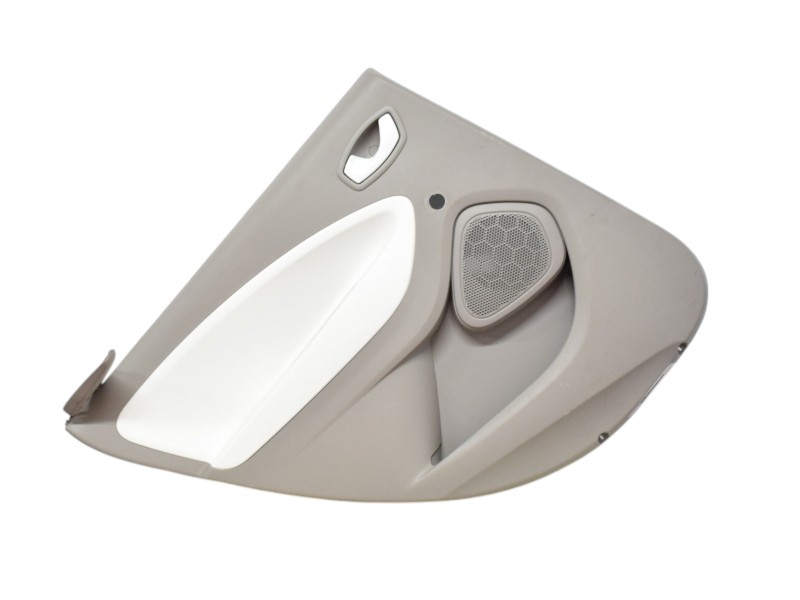 Pannello Porta Posteriore Sinistra Renault Zoe 829A14648R - 31646