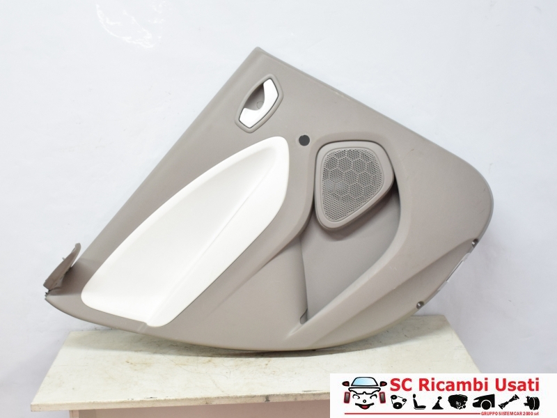 Pannello Porta Posteriore Sinistra Renault Zoe 829A14648R - 31646