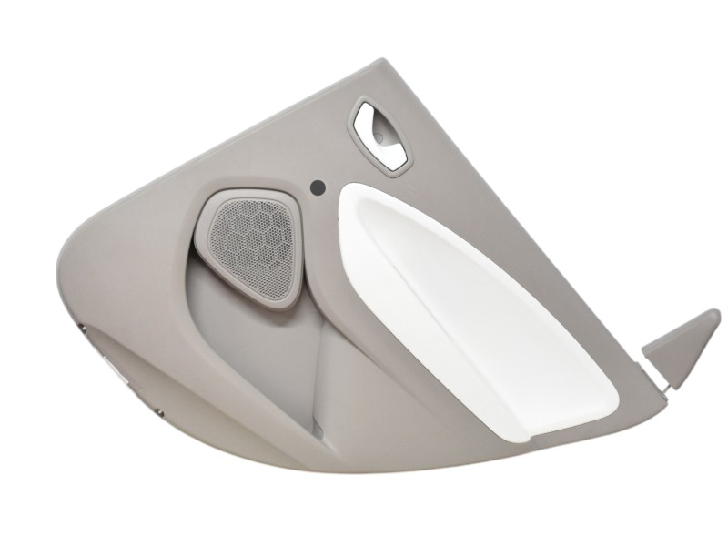 Pannello Porta Posteriore Destra Renault Zoe 829A02702R - 31647