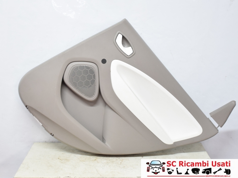 Pannello Porta Posteriore Destra Renault Zoe 829A02702R - 31647