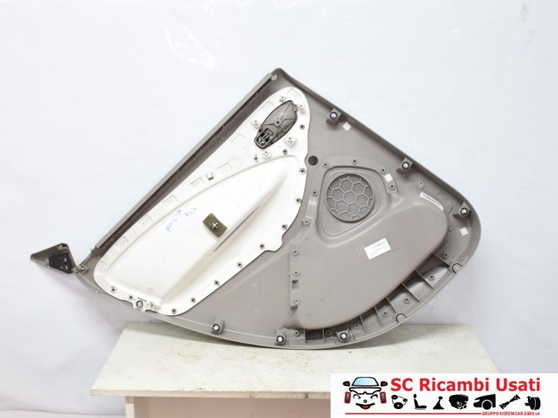 Pannello Porta Posteriore Destra Renault Zoe 829A02702R - 31647