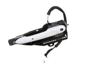 Maniglia Anteriore Sinistra Renault Zoe 806079784R - 31654