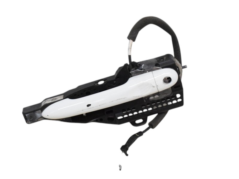 Maniglia Anteriore Sinistra Renault Zoe 806079784R - 31654