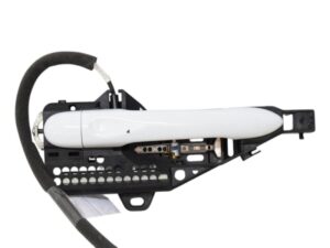 Maniglia Anteriore Destra Renault Zoe 806068462R - 31655