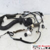 CABLAGGIO PORTA ANTERIORE SINISTRA RENAULT ZOE Serie 241249738R (13>18)