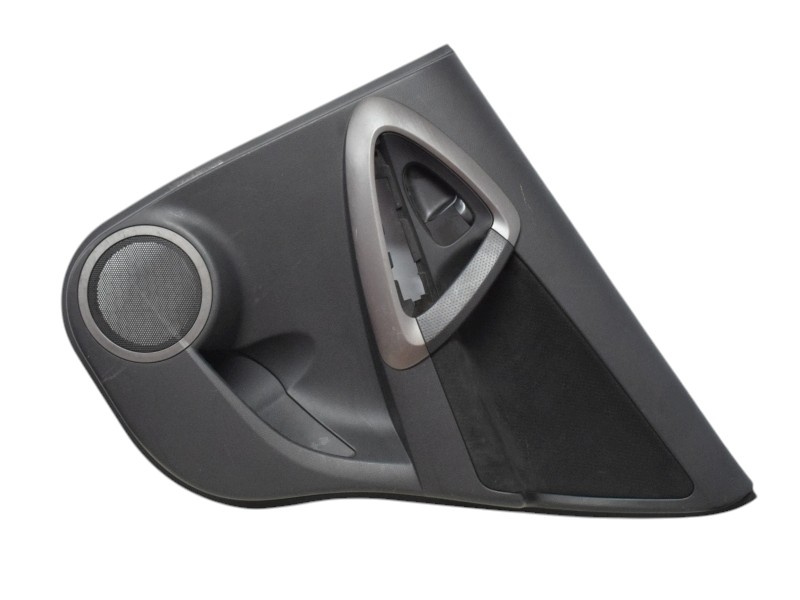 Pannello Porta Posteriore Destra Toyota Rav 4 67787X1B02 - 24713