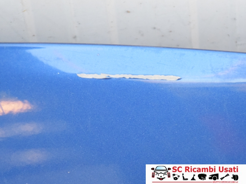 Cofano Anteriore Renault Clio 3  - 28682