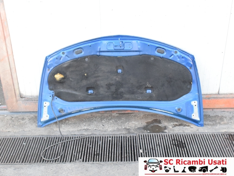 Cofano Anteriore Renault Clio 3  - 28682