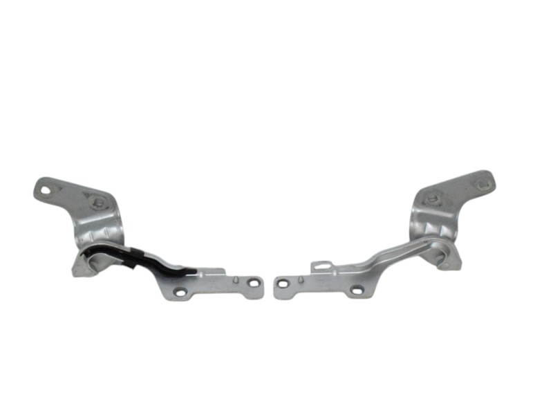 Cerniere Cofano Anteriore Renault Clio 3  - 29919