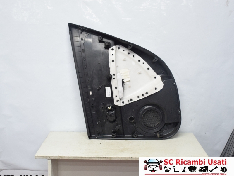 Pannello Porta Posteriore Sinistra Renault Clio 3 8200293858 - 29960 Pannello Porta Posteriore Sinistra Renault Clio 3 8200293858 - 29960