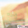 VETRO SCENDENTE POSTERIORE DESTRO OPEL Zafira B 2° Serie (08>)