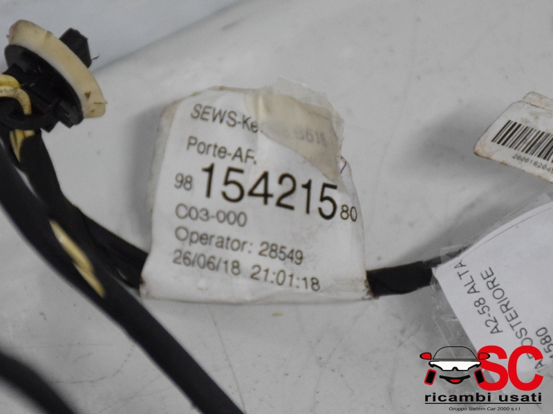 Cablaggio Porta Posteriore Destra Citroen C3 9815421580 Cablaggio Porta Posteriore Destra Citroen C3 9815421580