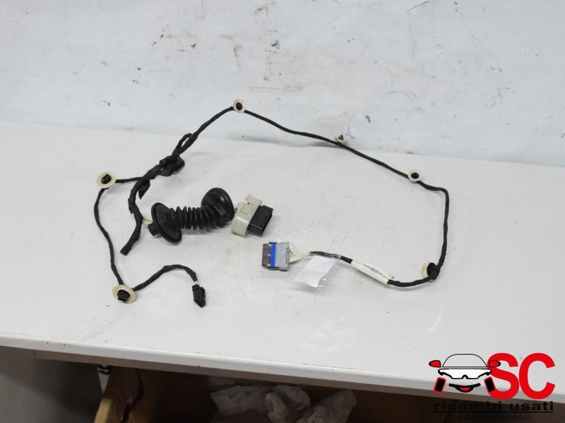 Cablaggio Porta Posteriore Sinistra Citroen C3 9815421580 Cablaggio Porta Posteriore Sinistra Citroen C3 9815421580