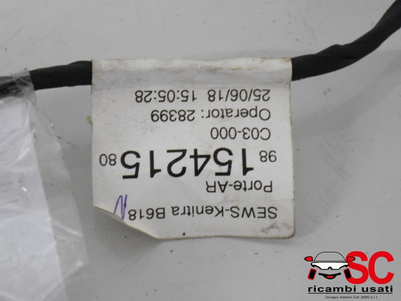 IMPIANTO ELETTRICO (CABLAGGIO) PORTA POSTERIORE SX CITROEN C3 Serie 9815421580 (16>)