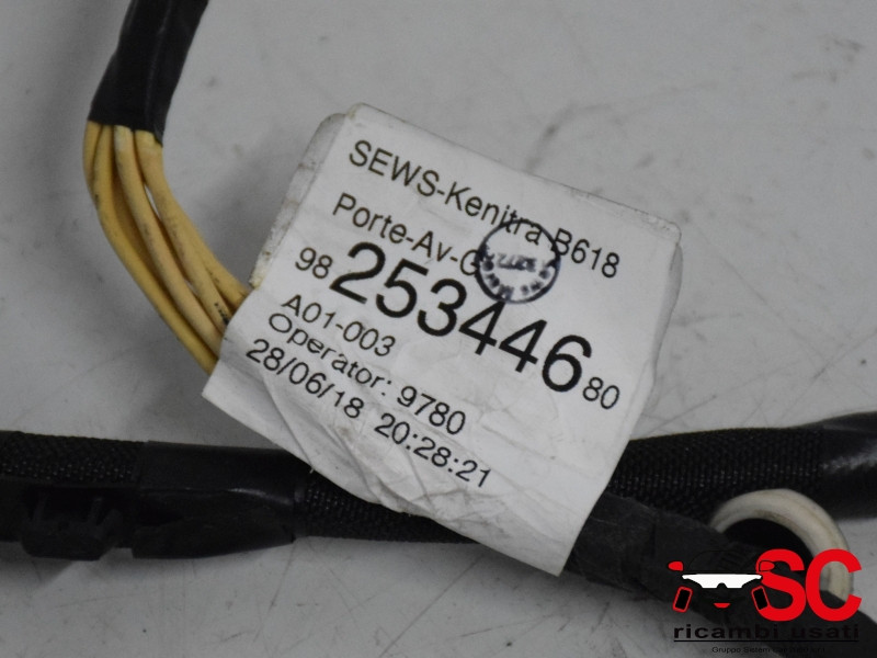 CABLAGGIO PORTA ANTERIORE SINISTRA CITROEN C3 Serie 9825344680 (16>)
