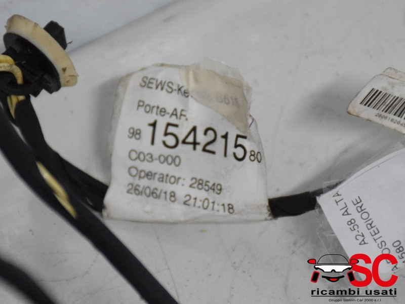 PORTIERA POSTERIORE DESTRA CITROEN C3 Serie 9815421580 (16>)