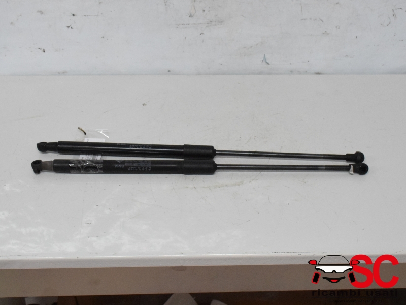 Molle A Gas Portellone Citroen C3 9813177780 Molle A Gas Portellone Citroen C3 9813177780