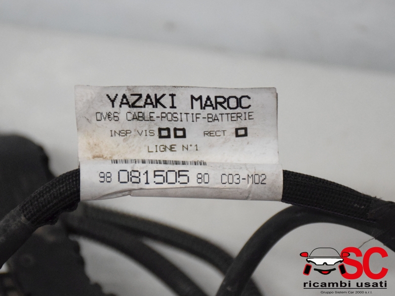 Cablaggio Batteria Citroen C3 1.6 Hdi 9808150580 Cablaggio Batteria Citroen C3 1.6 Hdi 9808150580