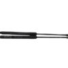 PISTONCINI COFANO POST. CITROEN C3 Serie 9813177780 (16>)
