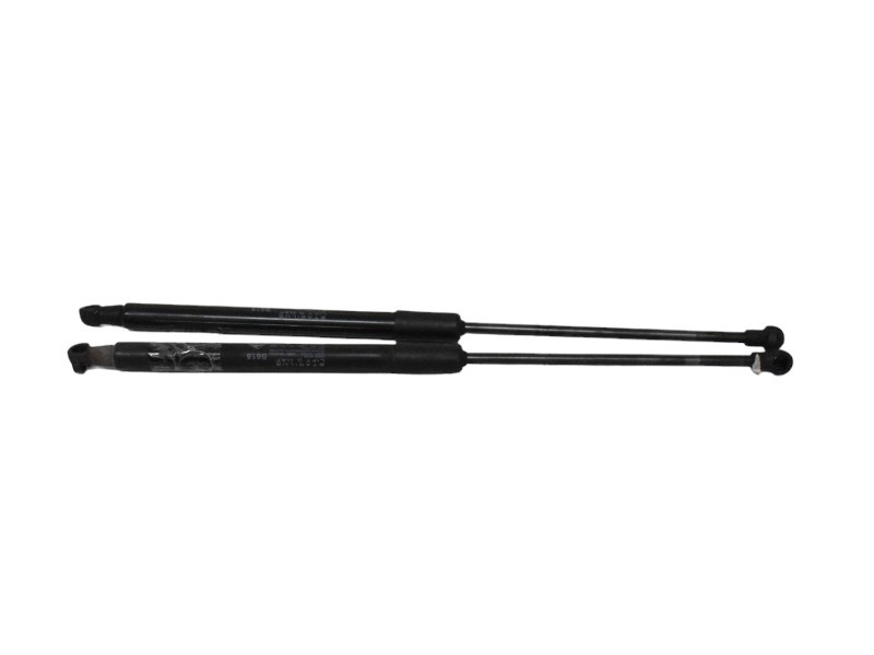 PISTONCINI COFANO POST. CITROEN C3 Serie 9813177780 (16>)