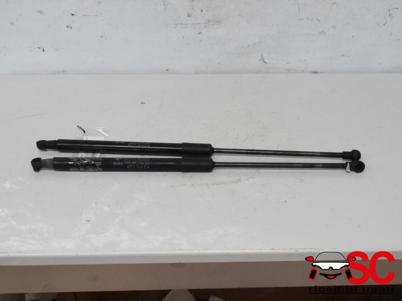 PISTONCINI COFANO POST. CITROEN C3 Serie 9813177780 (16>)