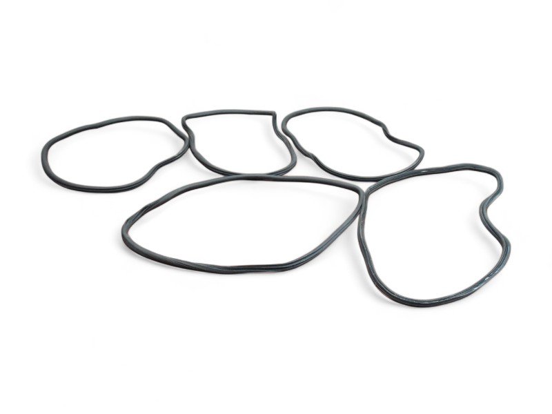 Guarnizioni Perimetrali Fiat 500x