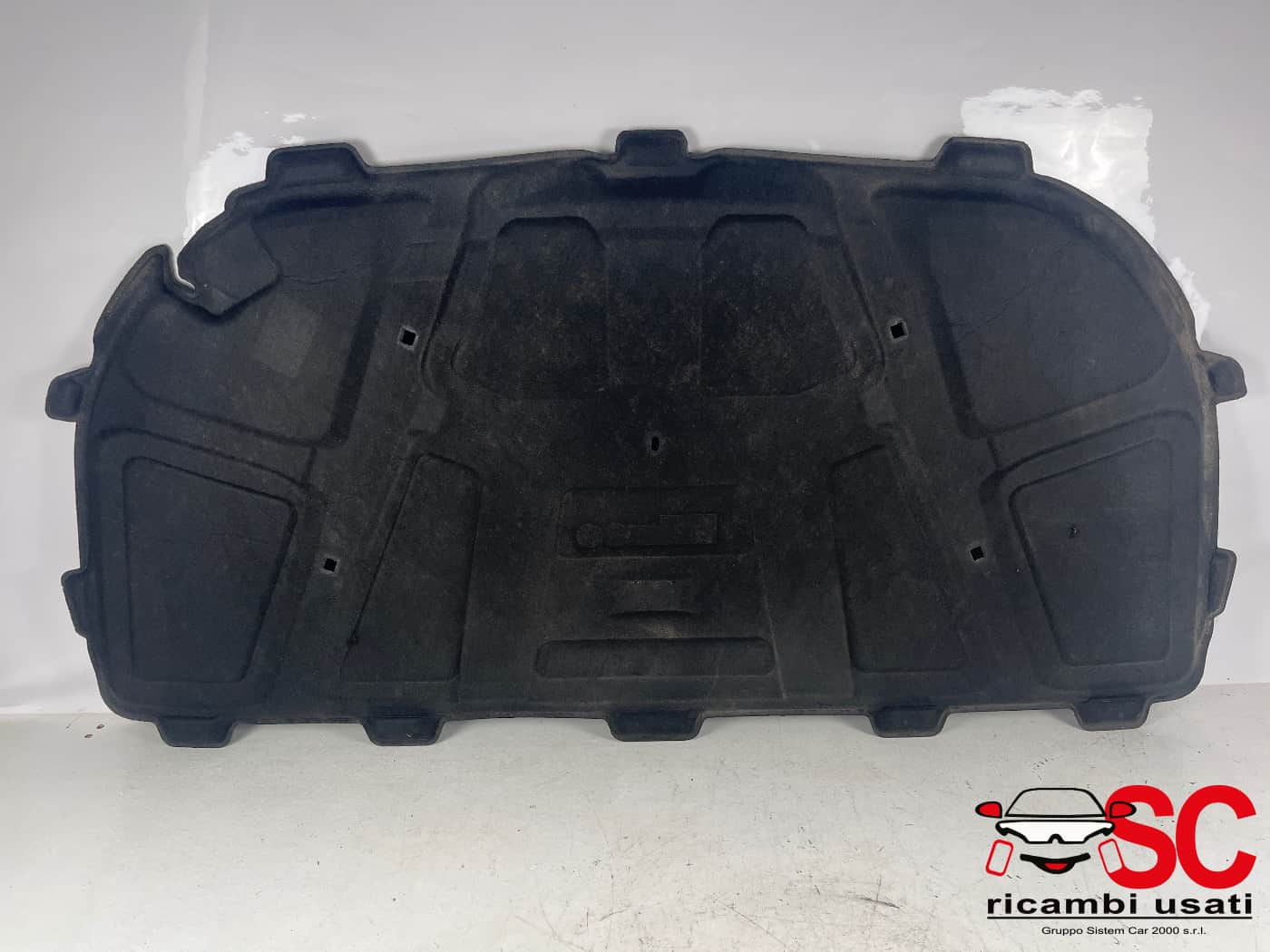 Pannello Cofano Anteriore Audi A5 8T0863825 - 40651 Pannello Cofano Anteriore Audi A5 8T0863825 - 40651