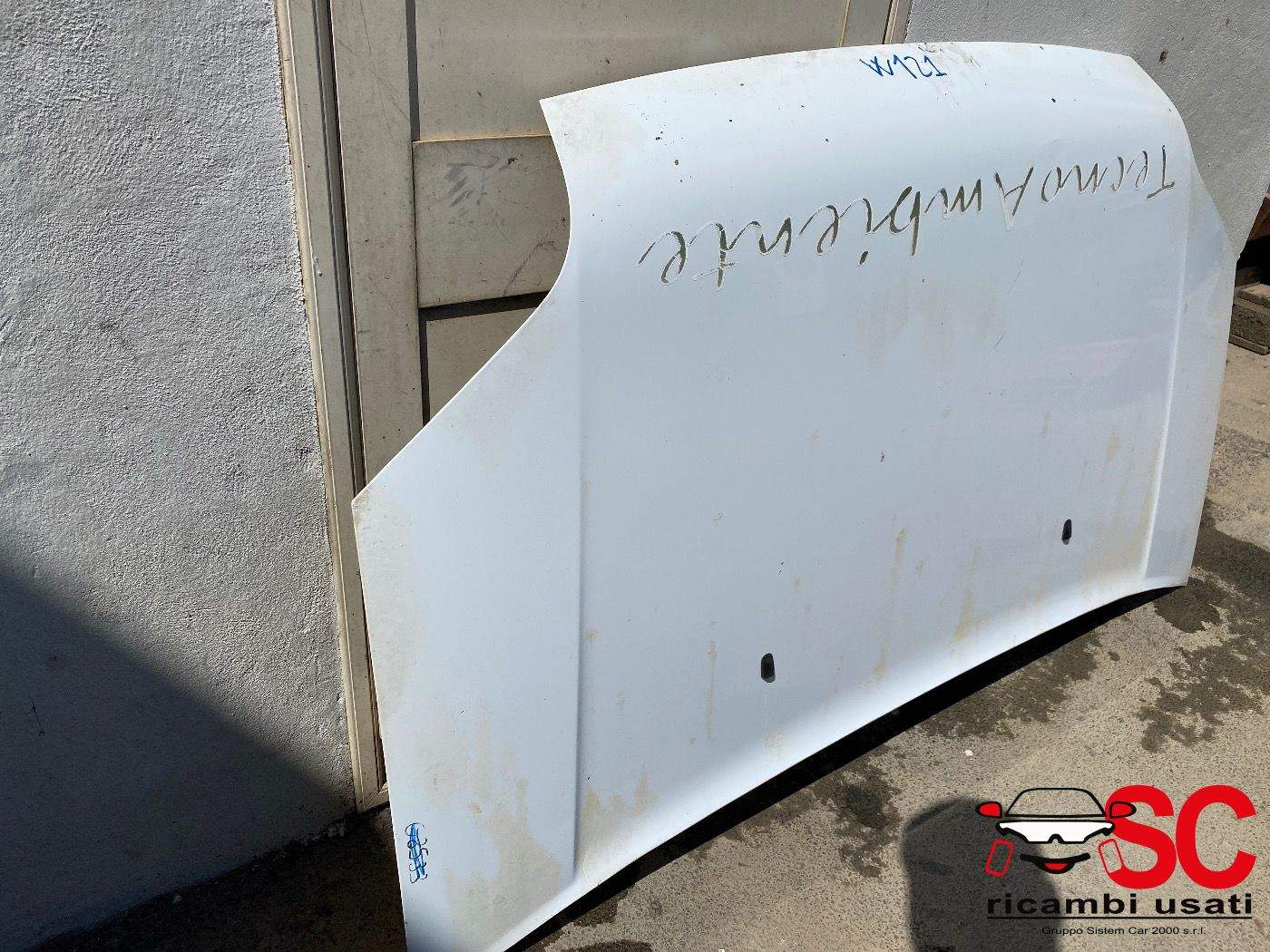 Cofano Anteriore Ford Transit  - W00121