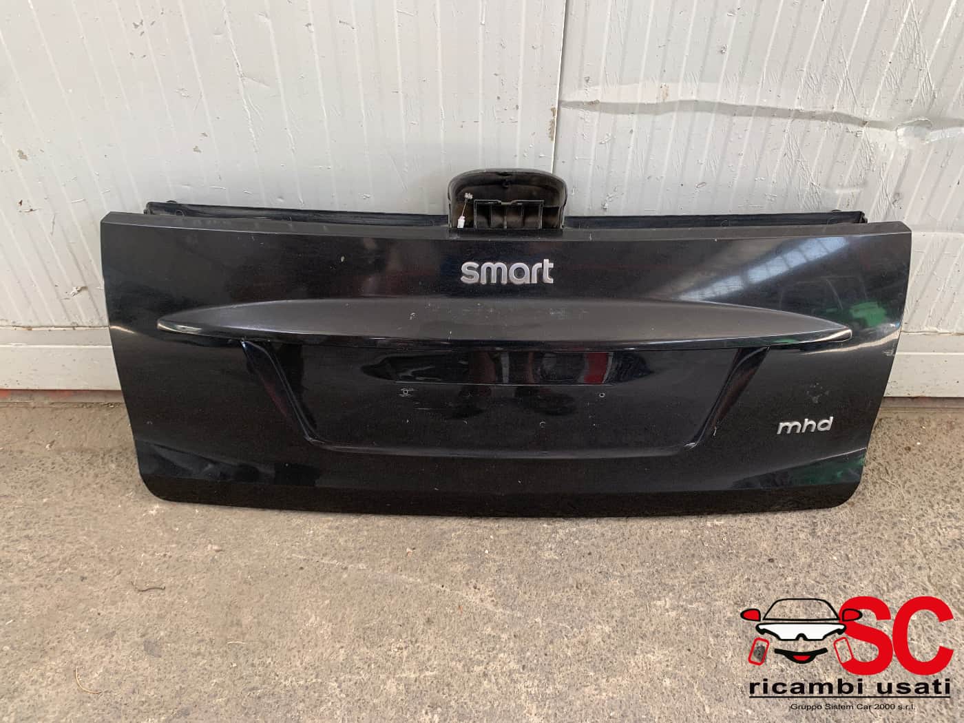 Portellone Cofano Smart For Two 451  - W00162