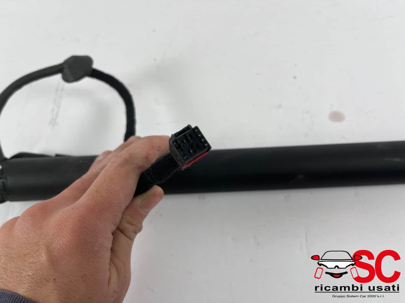 Molla A Gas Portellone Alfa Romeo Stelvio 50559346 505603960 - 42341 Molla A Gas Portellone Alfa Romeo Stelvio 50559346 505603960 - 42341