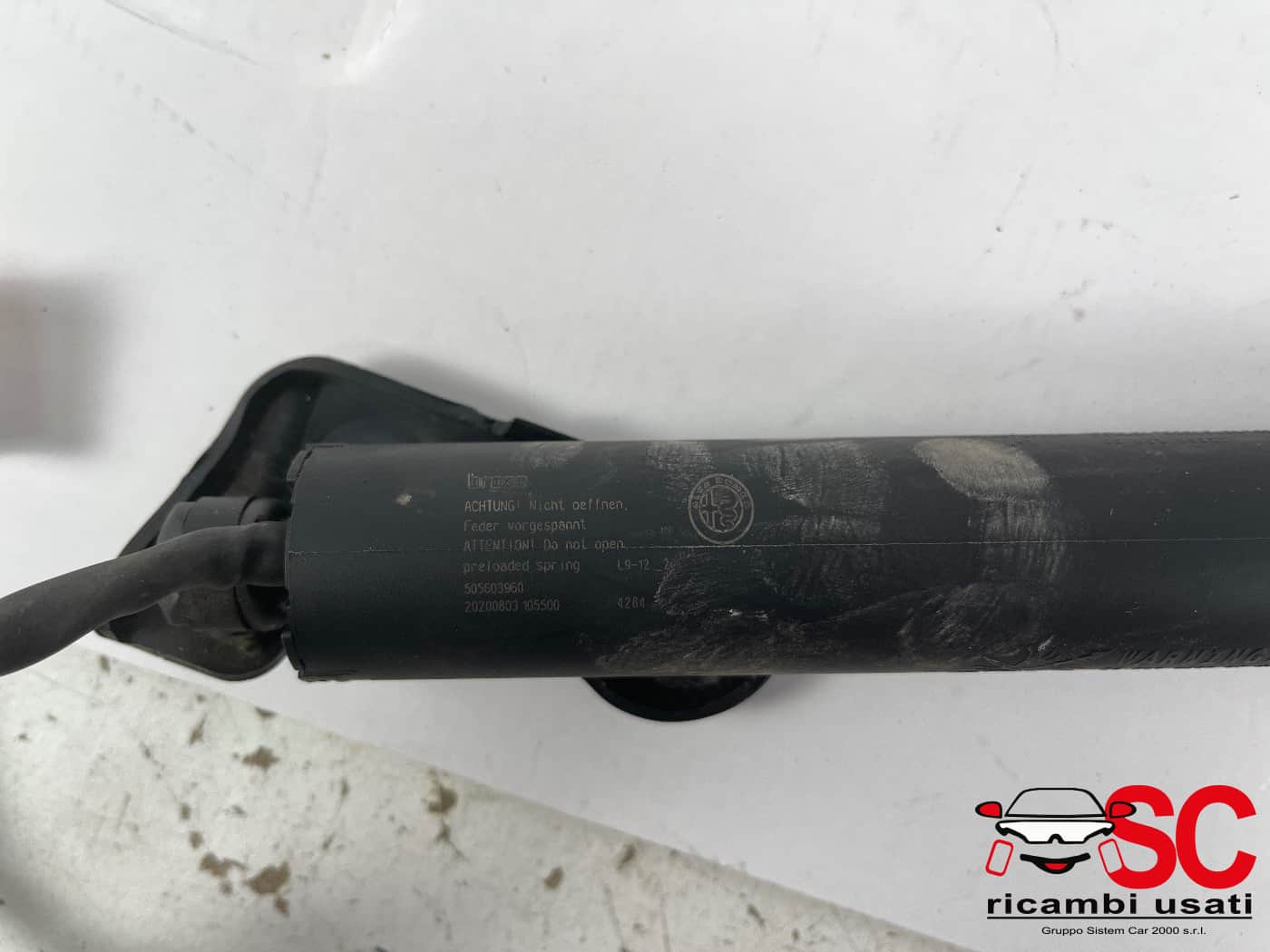 Molla A Gas Portellone Alfa Romeo Stelvio 50559346 505603960 - 42341 Molla A Gas Portellone Alfa Romeo Stelvio 50559346 505603960 - 42341