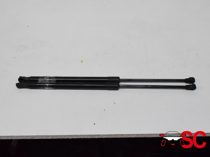 Molle A Gas Portellone Posteriore Fiat 500 Ev 52138096 52184322 - 37113 Molle A Gas Portellone Posteriore Fiat 500 Ev 52138096 52184322 - 37113