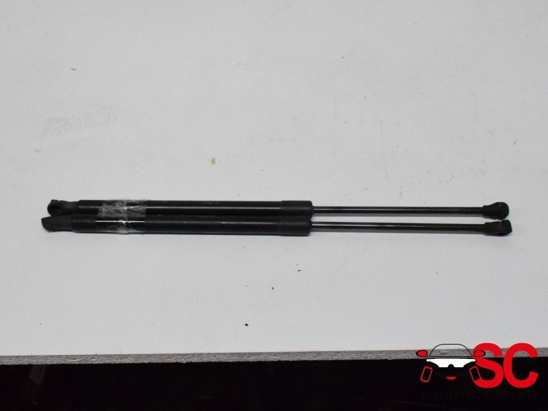 PISTONCINI COFANO POST. FIAT 500 Serie Elettrica 52138096 (20>)