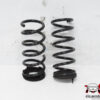 COPPIA MOLLE SOSPENSIONI POSTERIORI FIAT Panda 3° Serie 52181461 (12>)